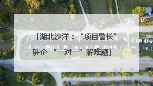 湖北沙洋：“项目警长”驻企 “一对一”解难题