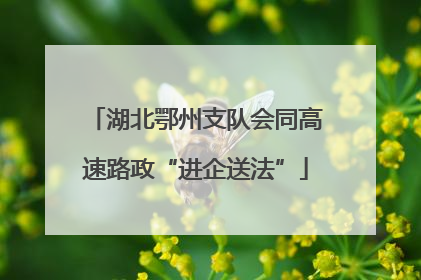 湖北鄂州支队会同高速路政“进企送法”