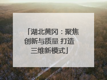 湖北黄冈：聚焦创新与质量 打造三维新模式
