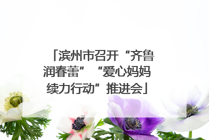 滨州市召开“齐鲁润春蕾”“爱心妈妈续力行动”推进会
