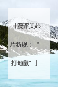 漫评美芯片新规：“打地鼠”