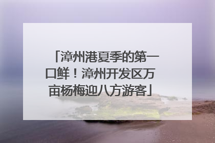 漳州港夏季的第一口鲜！漳州开发区万亩杨梅迎八方游客