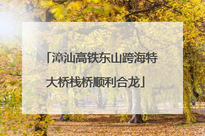 漳汕高铁东山跨海特大桥栈桥顺利合龙