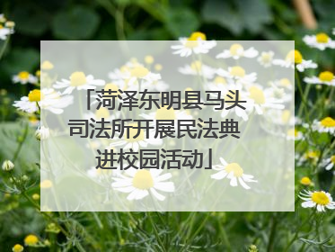 菏泽东明县马头司法所开展民法典进校园活动