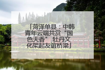 菏泽单县：中韩青年云端共赏“国色天香” 牡丹文化架起友谊桥梁