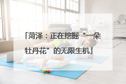 菏泽：正在挖掘“一朵牡丹花”的无限生机