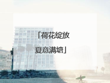 荷花绽放 夏意满塘