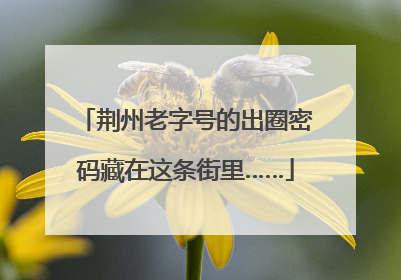 荆州老字号的出圈密码藏在这条街里……