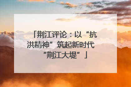 荆江评论：以“抗洪精神”筑起新时代“荆江大堤”