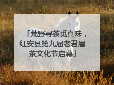 荒野寻茶觅真味，红安县第九届老君眉茶文化节启幕