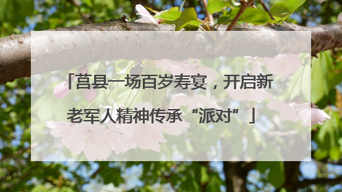 莒县一场百岁寿宴，开启新老军人精神传承“派对”
