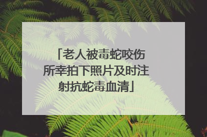 老人被毒蛇咬伤 所幸拍下照片及时注射抗蛇毒血清