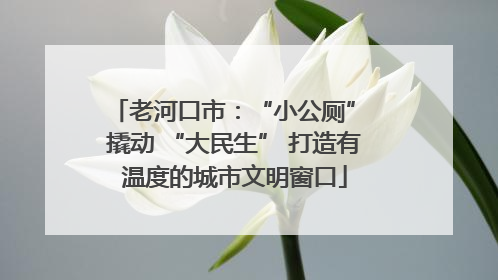 老河口市：“小公厕” 撬动 “大民生” 打造有温度的城市文明窗口
