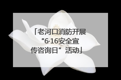 老河口消防开展“6·16安全宣传咨询日”活动