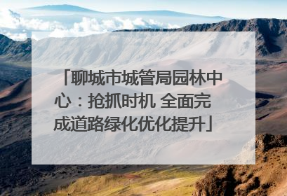 聊城市城管局园林中心：抢抓时机 全面完成道路绿化优化提升