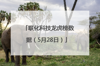 联化科技龙虎榜数据（5月28日）