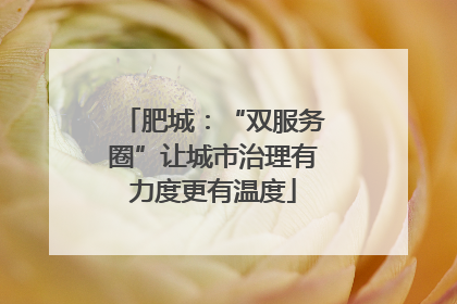 肥城：“双服务圈”让城市治理有力度更有温度