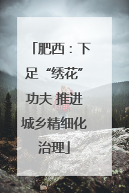 肥西：下足“绣花”功夫 推进城乡精细化治理