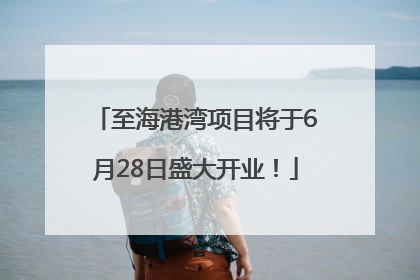 至海港湾项目将于6月28日盛大开业！