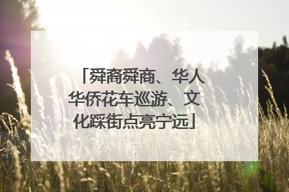 舜裔舜商、华人华侨花车巡游、文化踩街点亮宁远