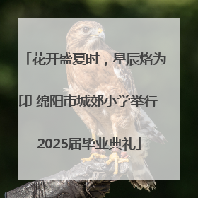 花开盛夏时，星辰烙为印 绵阳市城郊小学举行2025届毕业典礼