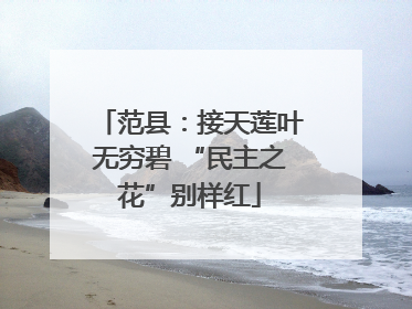 范县：接天莲叶无穷碧 “民主之花”别样红