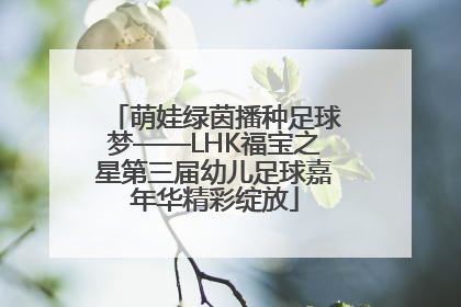 萌娃绿茵播种足球梦——LHK福宝之星第三届幼儿足球嘉年华精彩绽放