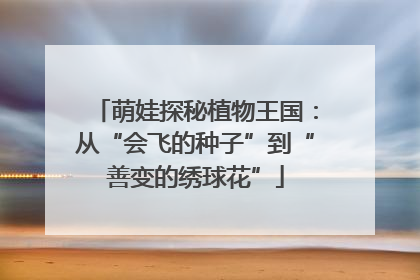 萌娃探秘植物王国：从“会飞的种子”到“善变的绣球花”