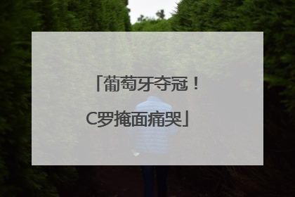 葡萄牙夺冠！C罗掩面痛哭