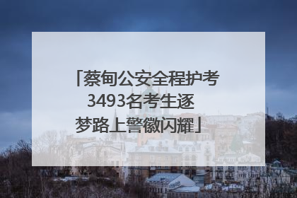 蔡甸公安全程护考 3493名考生逐梦路上警徽闪耀