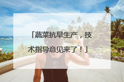 蔬菜抗旱生产，技术指导意见来了！