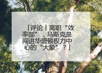 评论丨离职“效率部”，马斯克是闯进华盛顿权力中心的“大象”？