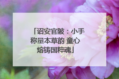 诏安官陂：小手称量本草韵 童心熔铸国粹魂