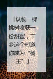 认领一棵桃树收获一份甜蜜，宁乡这个村邀你成为“树主”
