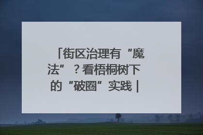 街区治理有“魔法”？看梧桐树下的“破圈”实践｜我在街区当书记