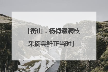衡山：杨梅缀满枝 采摘尝鲜正当时