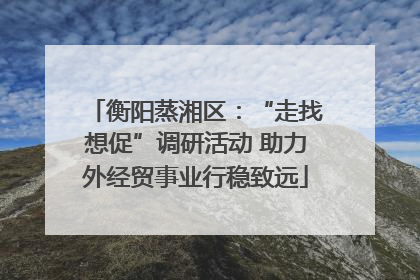 衡阳蒸湘区：“走找想促”调研活动 助力外经贸事业行稳致远