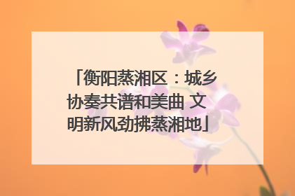 衡阳蒸湘区：城乡协奏共谱和美曲 文明新风劲拂蒸湘地