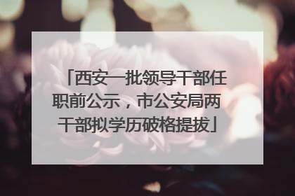 西安一批领导干部任职前公示，市公安局两干部拟学历破格提拔