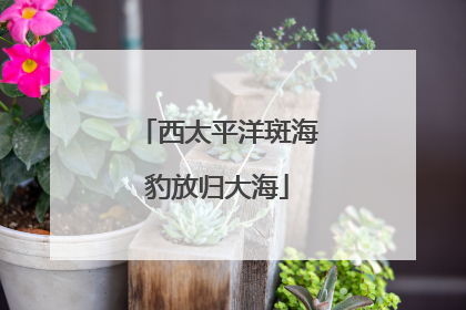 西太平洋斑海豹放归大海