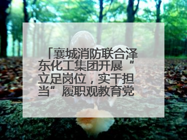 襄城消防联合泽东化工集团开展“立足岗位，实干担当”履职观教育党建联学活动