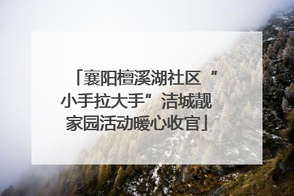 襄阳檀溪湖社区“小手拉大手”洁城靓家园活动暖心收官