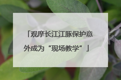 观摩长江江豚保护意外成为“现场教学”