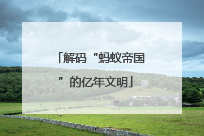 解码“蚂蚁帝国”的亿年文明