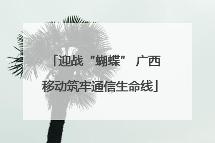 迎战“蝴蝶” 广西移动筑牢通信生命线