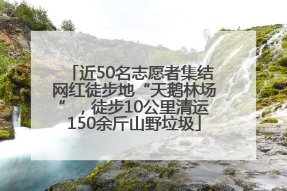 近50名志愿者集结网红徒步地“天鹅林场”，徒步10公里清运150余斤山野垃圾