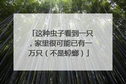 这种虫子看到一只，家里很可能已有一万只（不是蟑螂）