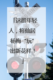 这群年轻人，将仙居杨梅“玩”出新花样！