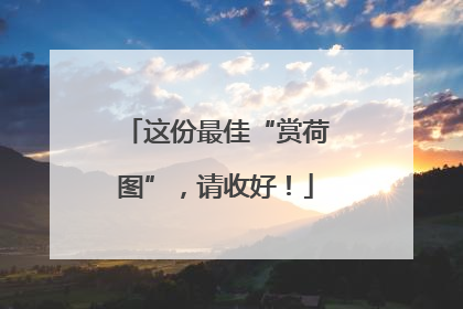 这份最佳“赏荷图”，请收好！