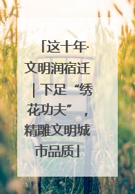 这十年·文明润宿迁｜下足“绣花功夫”，精雕文明城市品质